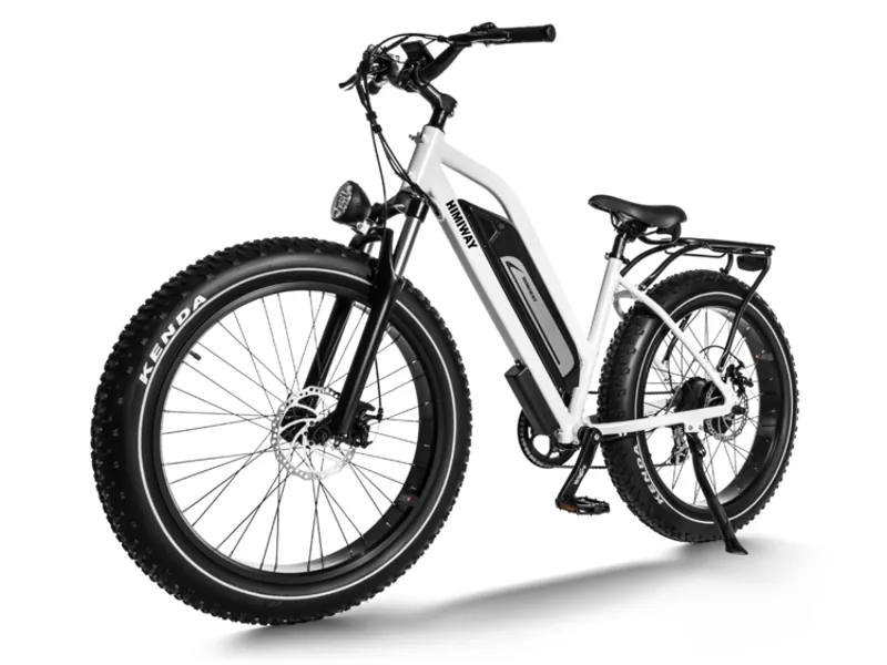Himiway Cruiser D3 Step Thru Fat Tyre Ebike-2